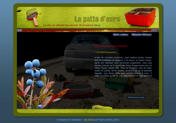 Site Internet