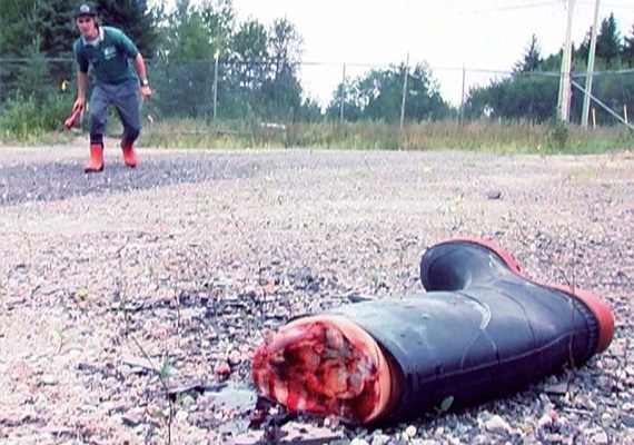 Quelque part au pied du massif des Monts-Valin, un mystérieux psychopathe décide d'éliminer deux jeunes cueilleurs de bleuets sauvages pour des raisons économiques...frissons garantis!