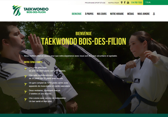 <a target='_blank' href='http://taekwondoboisdesfilion.com/'>Voir le site</a><br>Situé dans les Laurentides, Taekwondo Bois-des-Filion est un organisme sans but lucratif qui a pour mission de promouvoir le sport amateur auprès de la population, particulièrement le Taekwondo dans la région de Bois-des-Filion.